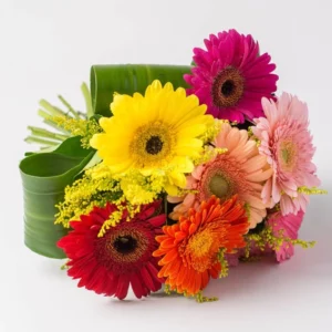 Buquê de Géberas