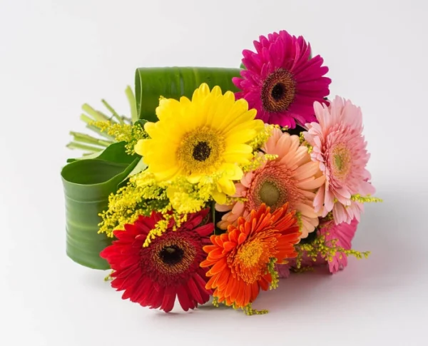 Buquê de Géberas