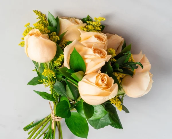 Buquê de Rosas Champagne e Pelúcia - Imagem 2