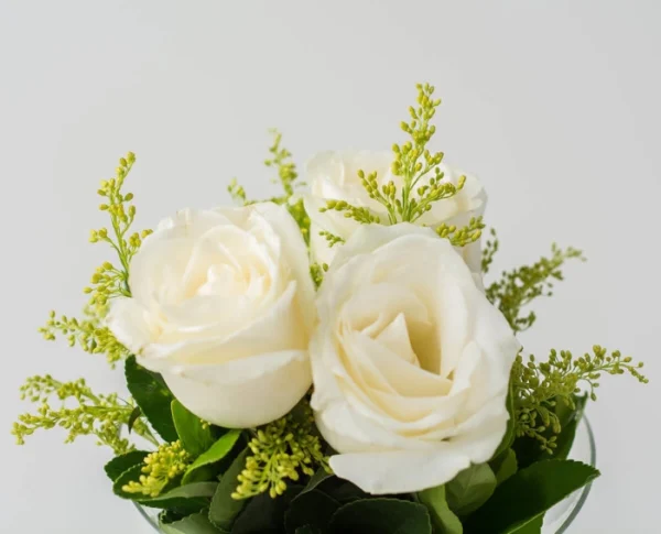 Buquê de 3 Rosas Brancas - Imagem 3