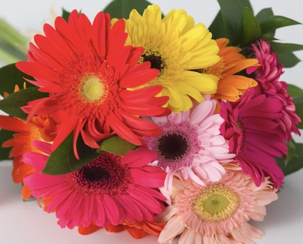 Buquê de Gérberas e Kit Natura Tododia Ameixa e Flor de Baunilha - Imagem 2